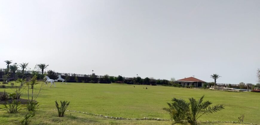 BEDIAN ROAD farmhouse 232