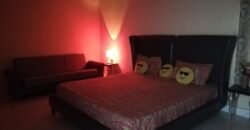 BEDIAN ROAD farmhouse 234