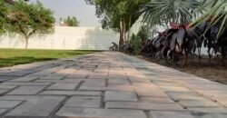 RAIWIND ROAD  236