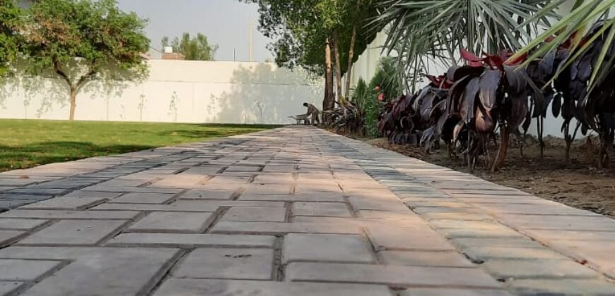 RAIWIND ROAD  236