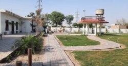 RAIWIND ROAD  236