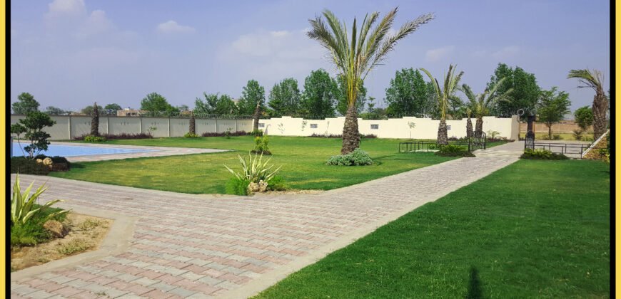 BARKI ROAD FARMHOUSE  222