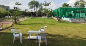 FEROZPUR ROAD FARMHOUSE 215