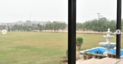 FEROZPUR ROAD FARMHOUSE 235