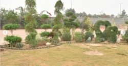 FEROZPUR ROAD FARMHOUSE 235