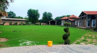 BEDIAN ROAD FARMHOUSE 195