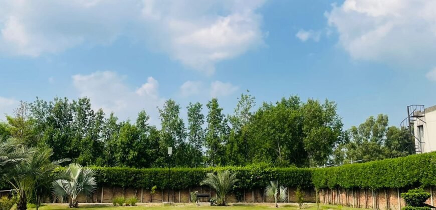 BARKI ROAD FARMHOUSE 166