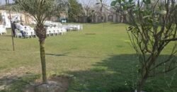 JALLO FARMHOUSE 208