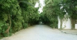 DHA FARMHOUSE 204