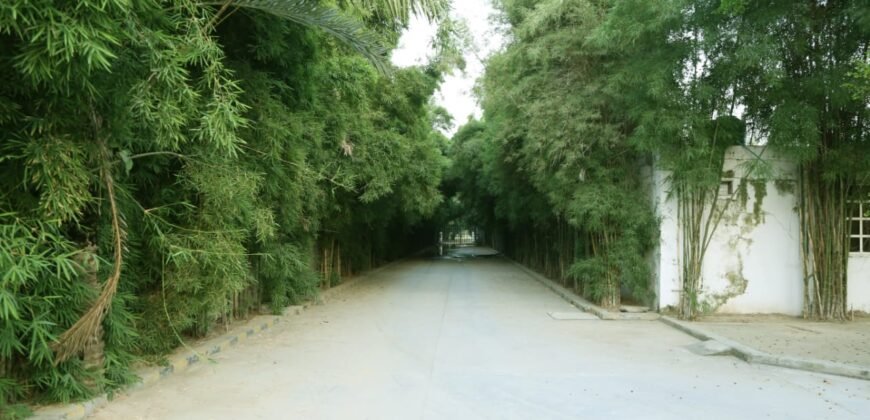 DHA FARMHOUSE 204