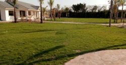 BEDIAN ROAD  FARMHOUSE 206
