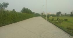 RAIWIND ROAD 250
