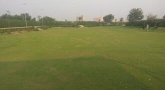 RAIWIND ROAD 250