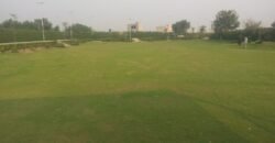 RAIWIND ROAD 250