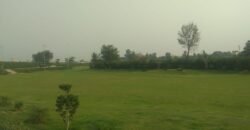 RAIWIND ROAD 250