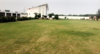 DHA FARMHOUSE 254