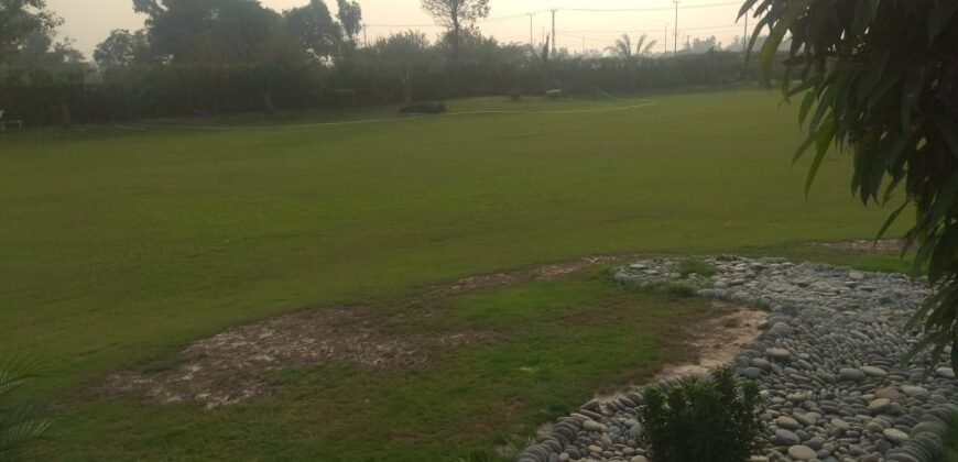 RAIWIND ROAD 250