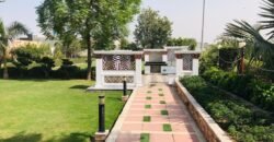 MANAVA FARMHOUSE  247