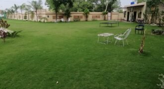 BARKI ROAD FARMHOUSE 253