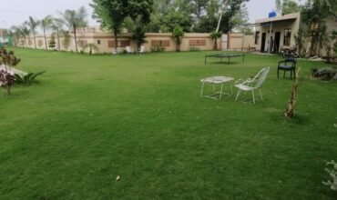 BARKI ROAD FARMHOUSE 253