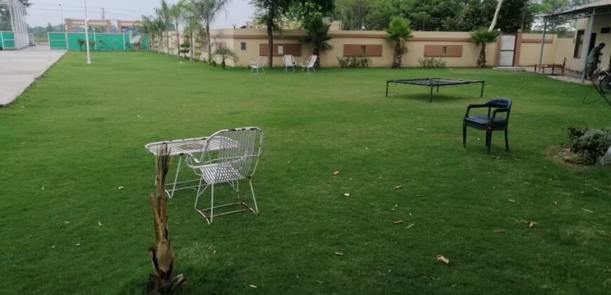 BARKI ROAD FARMHOUSE 253