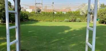 BARKI ROAD FARMHOUSE 257