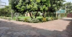 BARKI ROAD FARMHOUSE 257