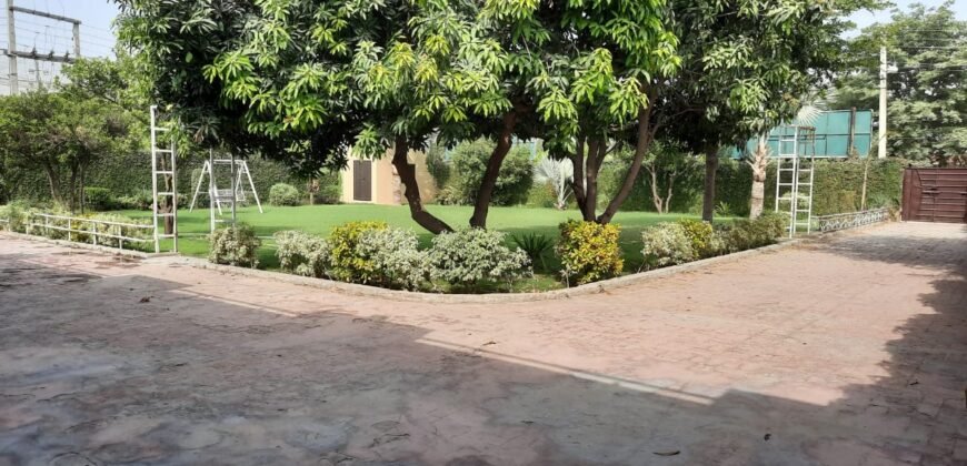 BARKI ROAD FARMHOUSE 257