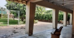 BARKI ROAD FARMHOUSE 257