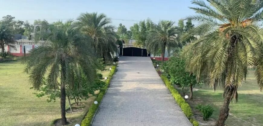 RAIWIND ROAD 259