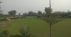 RAIWIND ROAD 250