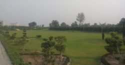 RAIWIND ROAD 250