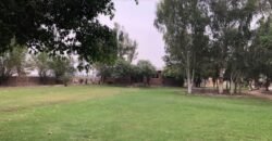 RAIWIND ROAD FARMHOUSE 251
