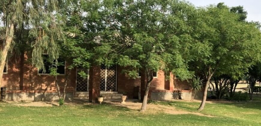 RAIWIND ROAD FARMHOUSE 251