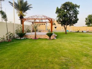 Farm House for Rent in Raiwind Road Lahore